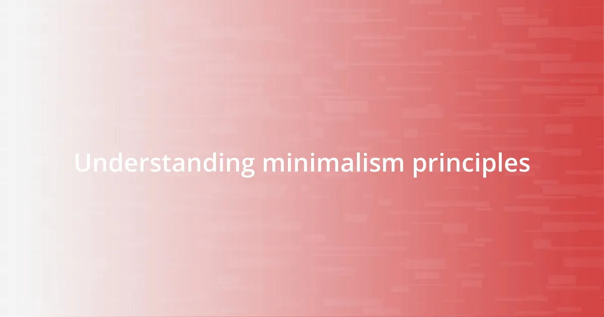 Understanding minimalism principles