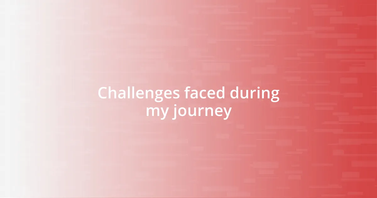 Challenges faced during my journey