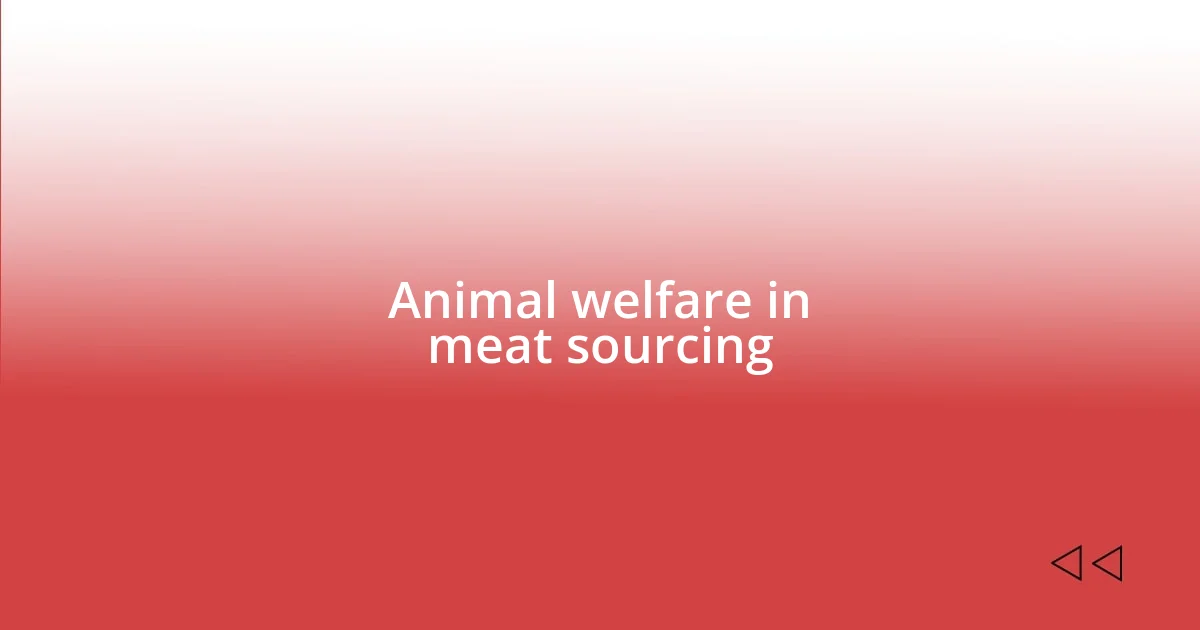 Animal welfare in meat sourcing