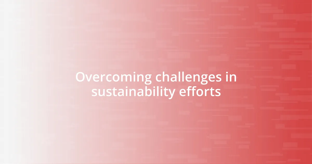 Overcoming challenges in sustainability efforts