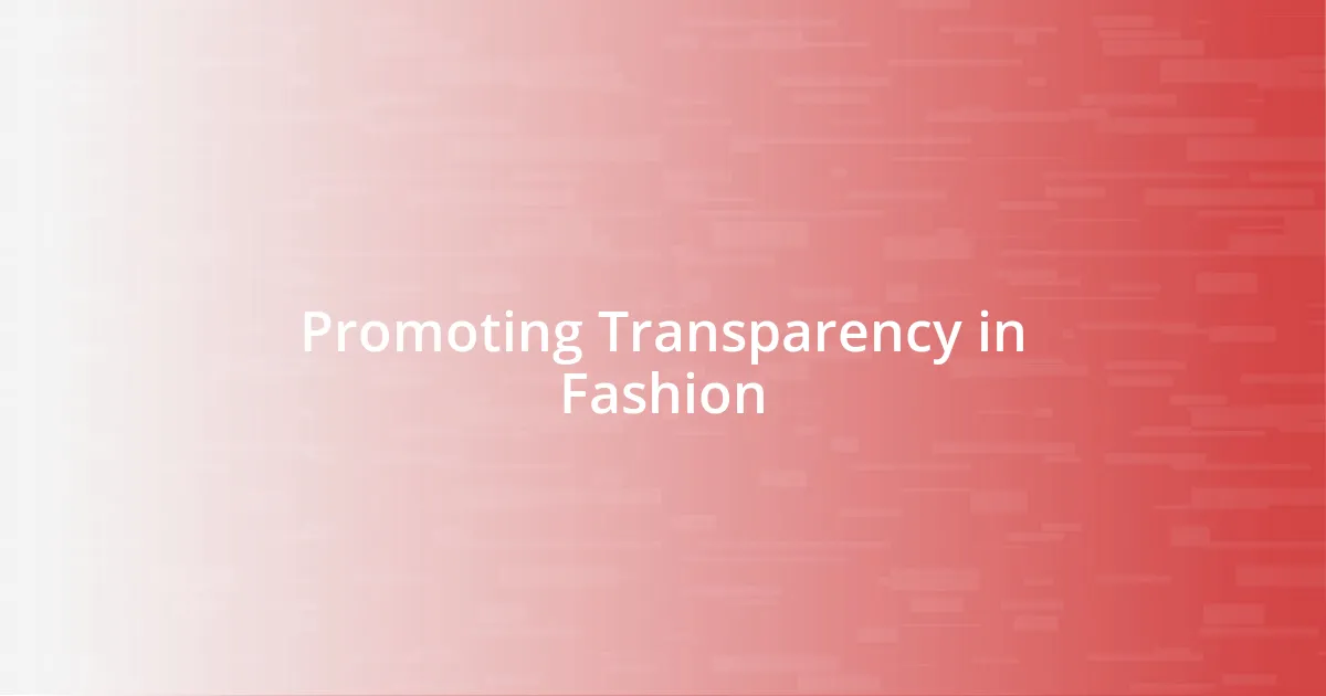 Promoting Transparency in Fashion