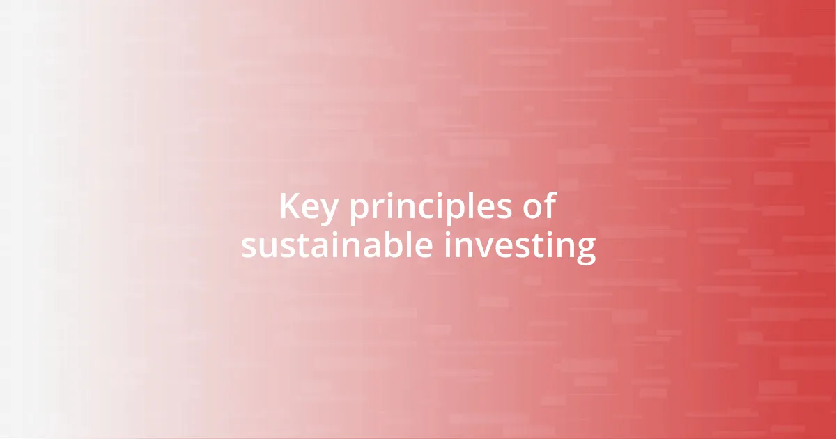 Key principles of sustainable investing